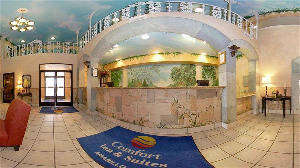 Comfort & Hotel